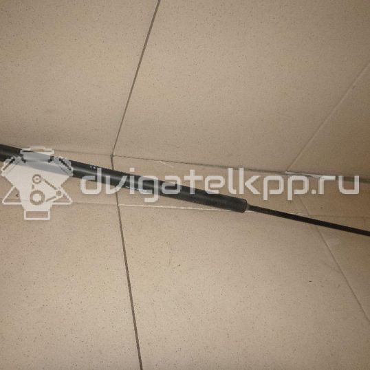 Фото Амортизатор двери багажника  8731T0 для Citroen C2 Jm / C4