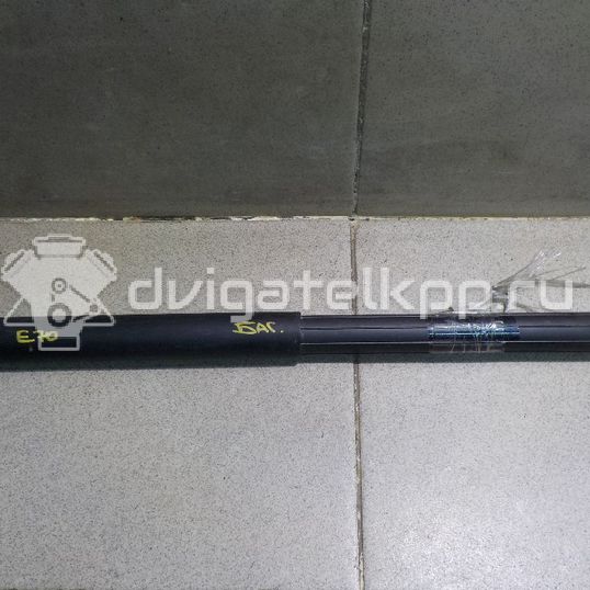Фото Амортизатор двери багажника  51247177283 для Bmw X5