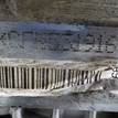 Фото Контрактный (б/у) двигатель CFNA для Volkswagen Vento 105 л.с 16V 1.6 л бензин 03C100092Q {forloop.counter}}