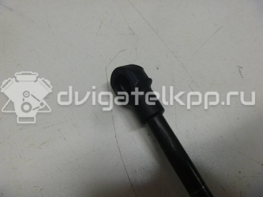 Фото Амортизатор капота  8R0823359A для Audi Q5 {forloop.counter}}