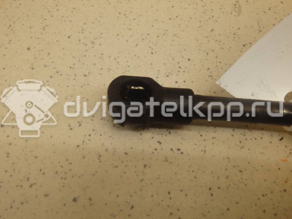 Фото Амортизатор капота  8r0823359a для Audi Q5 {forloop.counter}}