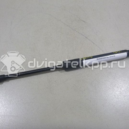 Фото Амортизатор капота  8R0823359A для Audi Q5