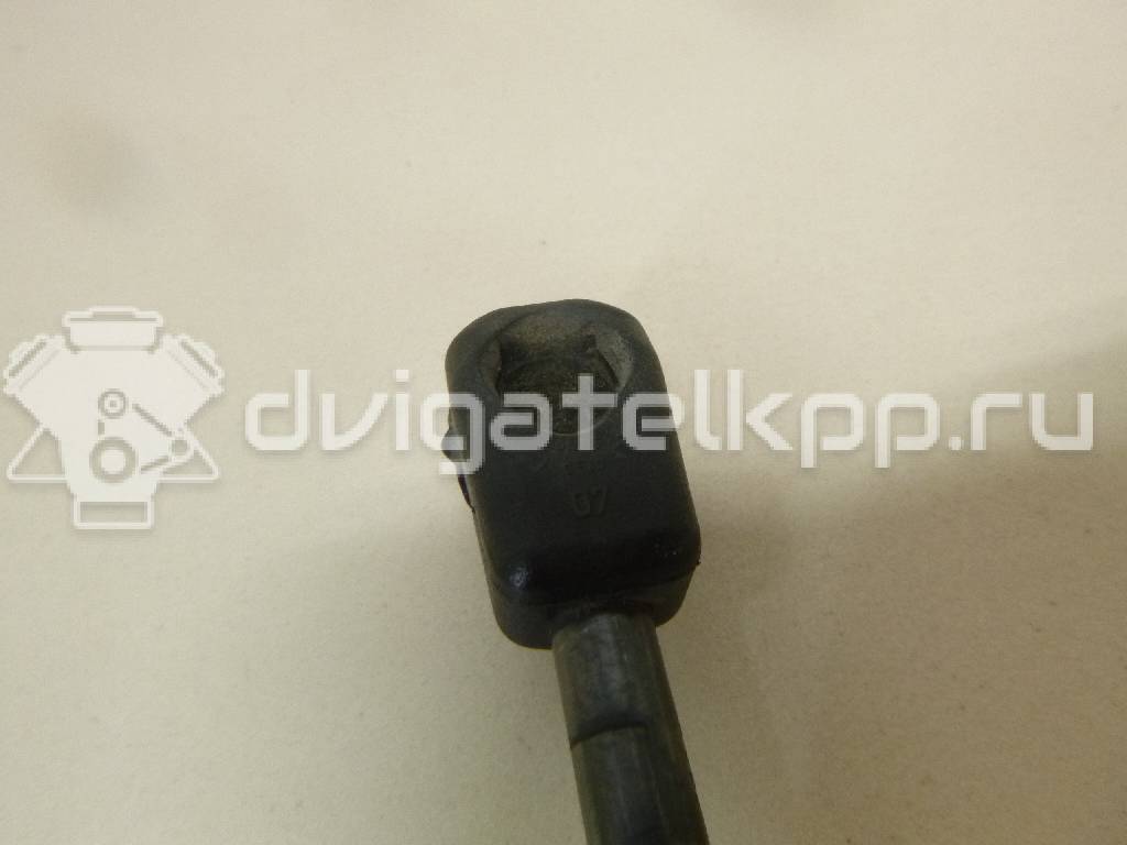 Фото Амортизатор двери багажника  8R0827552A для Audi Q5 {forloop.counter}}
