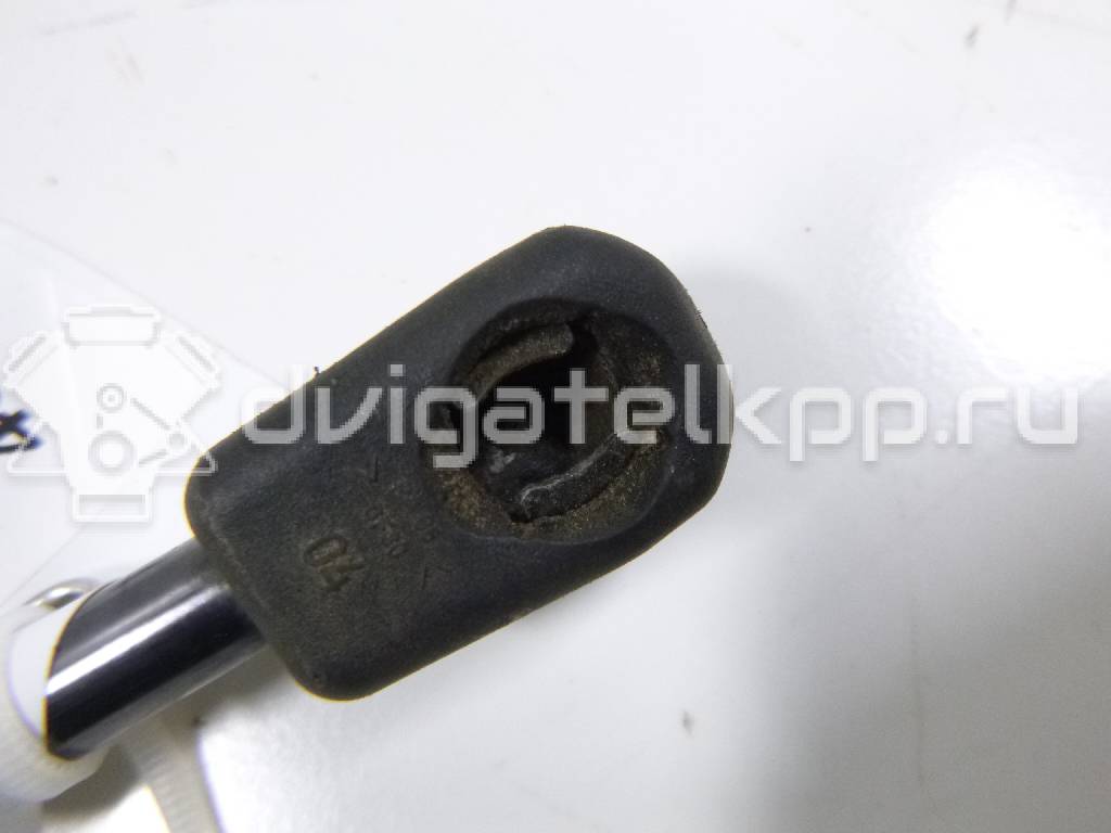 Фото Амортизатор двери багажника  8R0827552A для Audi Q5 {forloop.counter}}