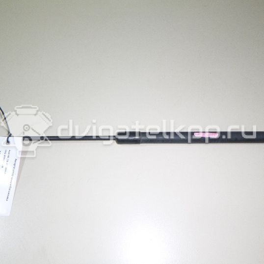 Фото Амортизатор двери багажника  4F9827552B для Audi A6