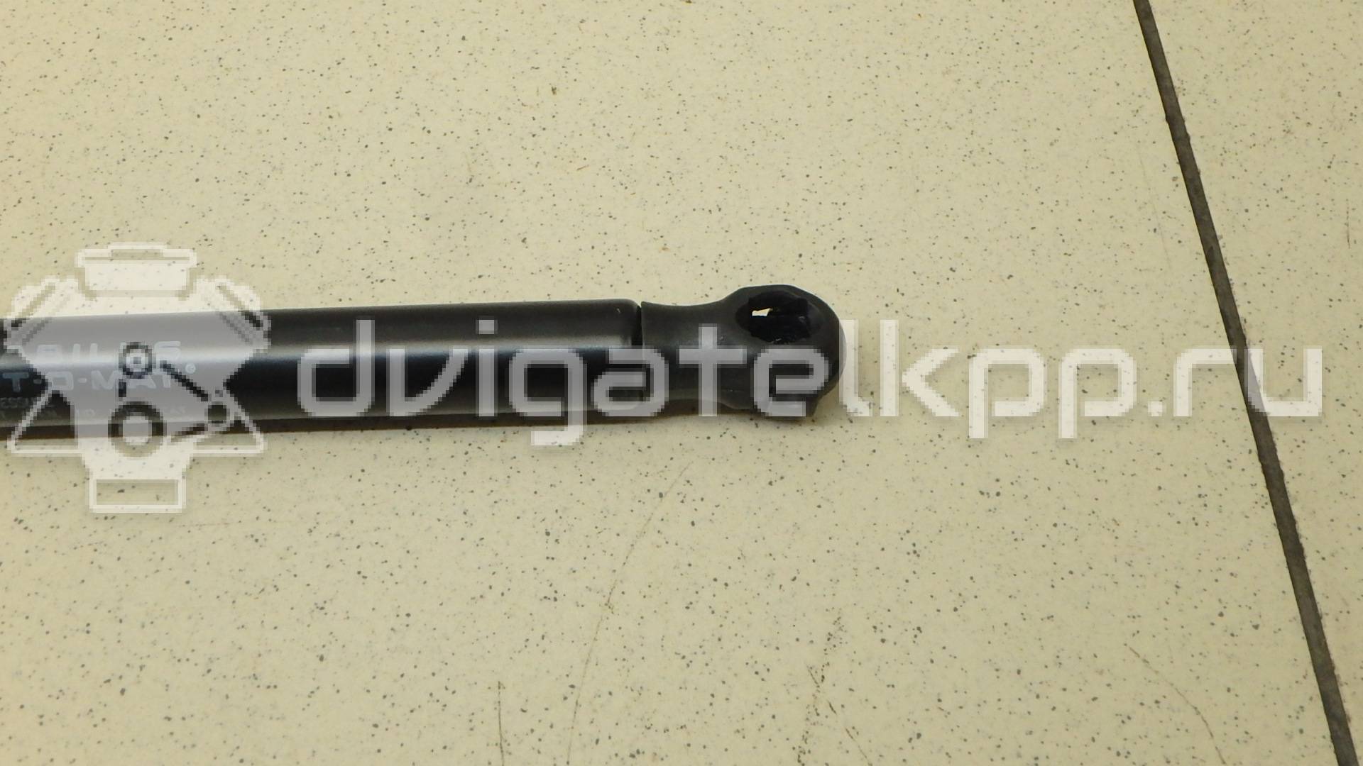 Фото Амортизатор капота  8T0823359 для Audi A5 / A4 {forloop.counter}}