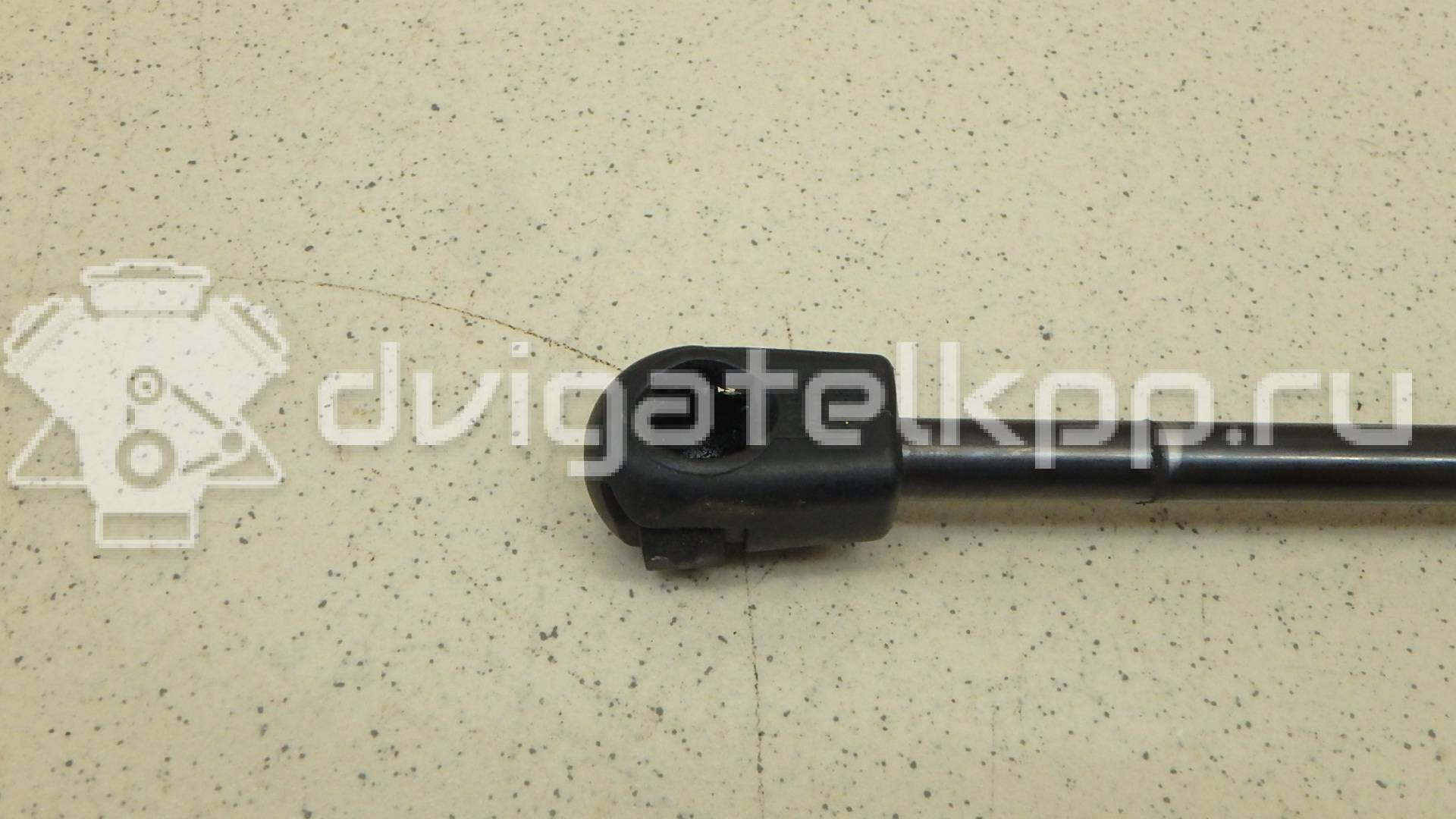 Фото Амортизатор капота  8T0823359 для Audi A5 / A4 {forloop.counter}}