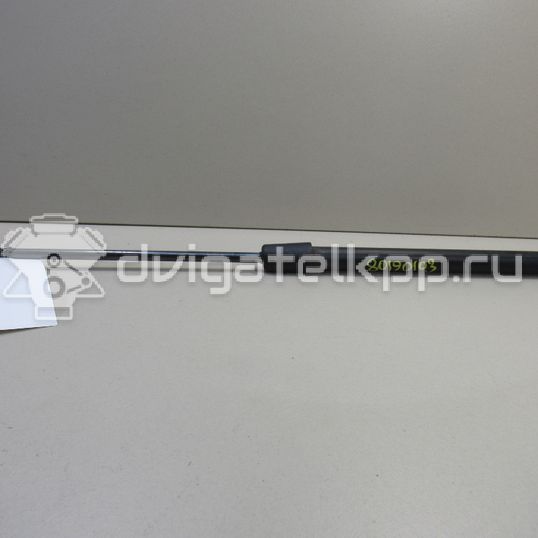 Фото Амортизатор двери багажника  8k9827552 для Audi A4
