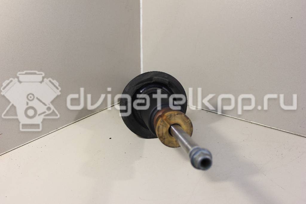 Фото Амортизатор передний  8k0413031cb для Audi A4 / A6 / A5 / Q5 / A7 Sportback 4Ga, 4Gf {forloop.counter}}