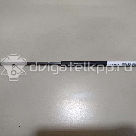 Фото Амортизатор двери багажника  5E5827550L для Skoda Octavia