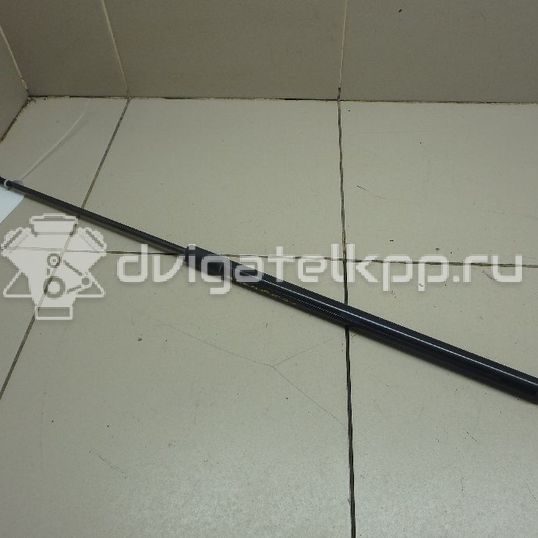 Фото Амортизатор двери багажника  904510002R для Renault Megane