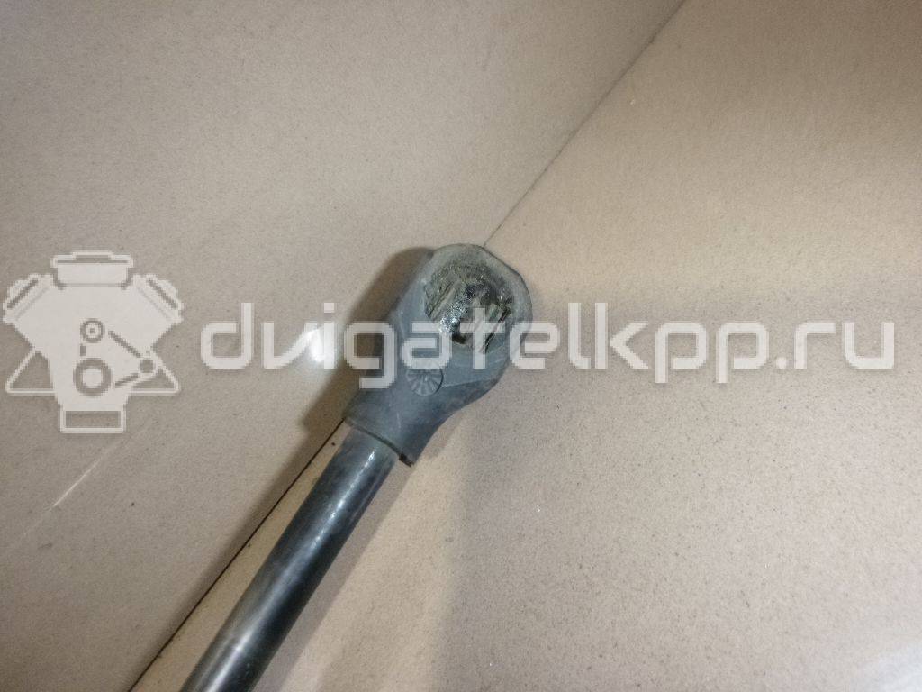 Фото Амортизатор двери багажника  8731R9 для Peugeot Partner {forloop.counter}}