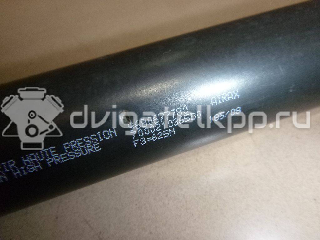 Фото Амортизатор двери багажника  8731R9 для Peugeot Partner {forloop.counter}}