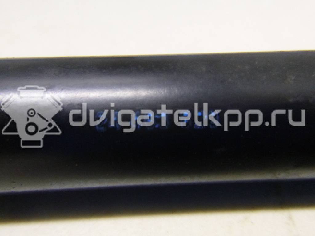 Фото Амортизатор двери багажника  24463829 для Opel Astra / Zafira {forloop.counter}}