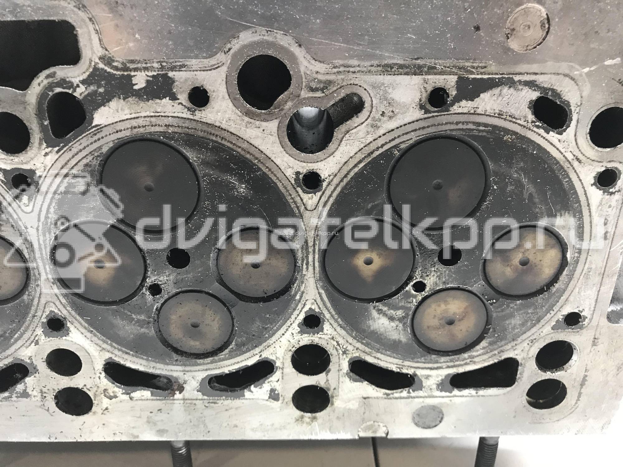 Фото Головка блока  03G103351B для seat Leon (1P1) {forloop.counter}}