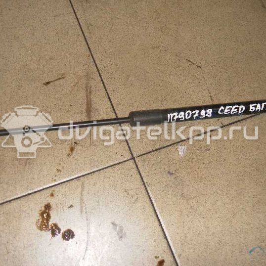 Фото Амортизатор двери багажника  817801H010 для Kia Ceed