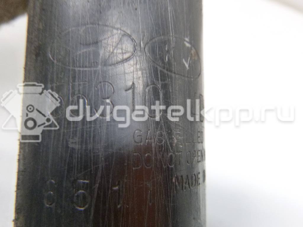 Фото Амортизатор задний  553104d400 для Kia Carnival {forloop.counter}}