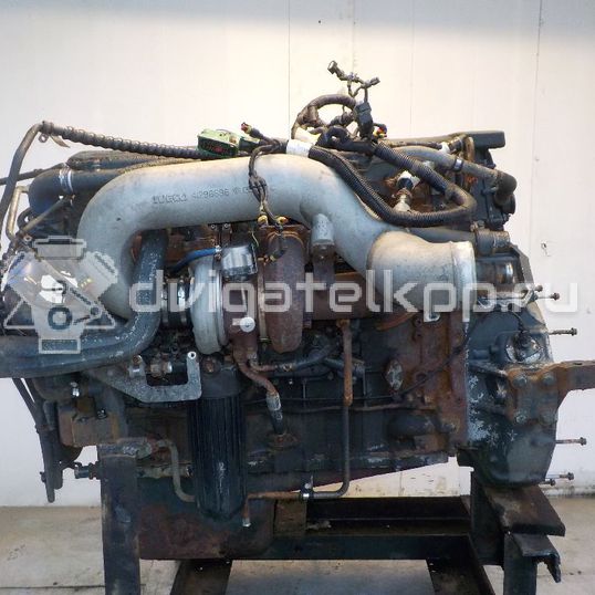 Фото Контрактный (б/у) двигатель F3AE3681Y для Iveco Stralis 449-450 л.с 24V 10.3 л Дизельное топливо 504076296