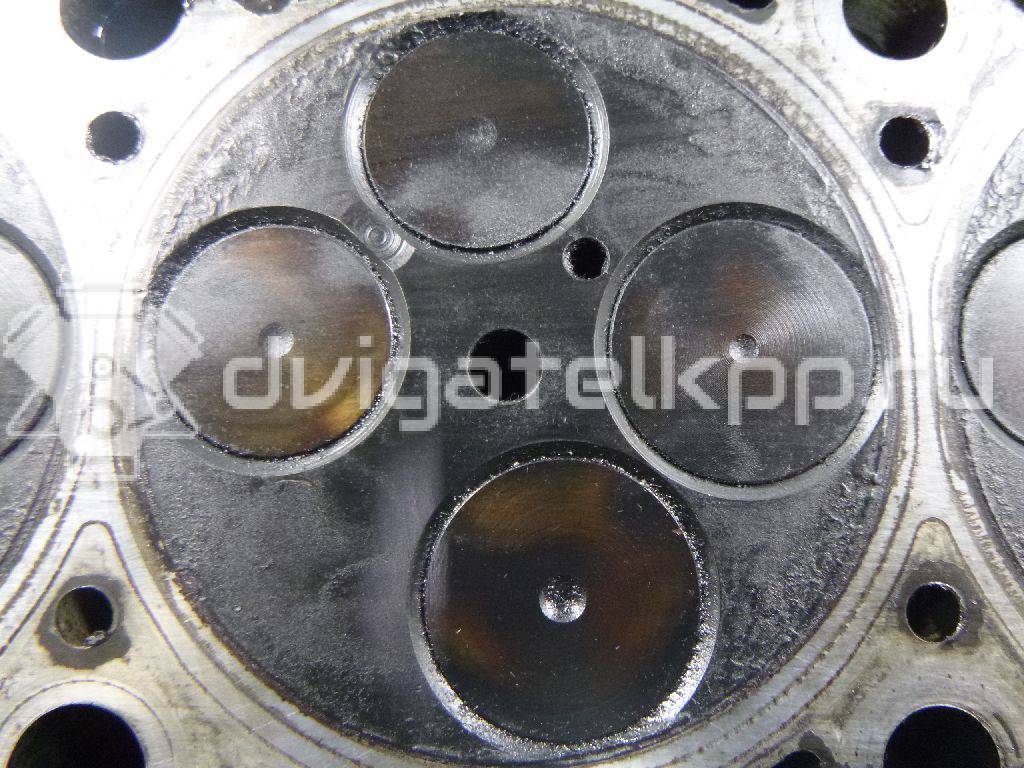 Фото Головка блока  для Ford / Audi {forloop.counter}}