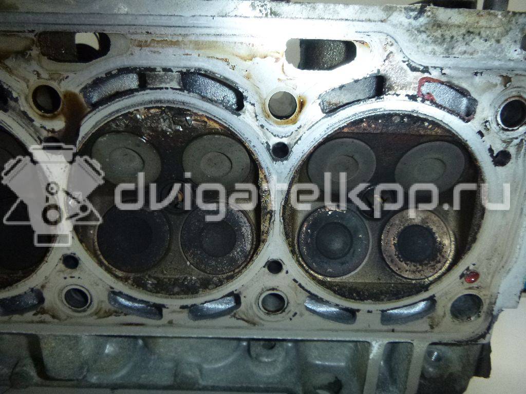 Фото Головка блока  036103351P для Skoda Octavia / Octaviaii 1Z3 {forloop.counter}}