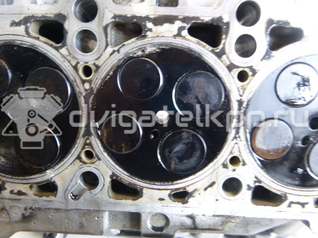 Фото Головка блока  059103266FX для Skoda Superb {forloop.counter}}