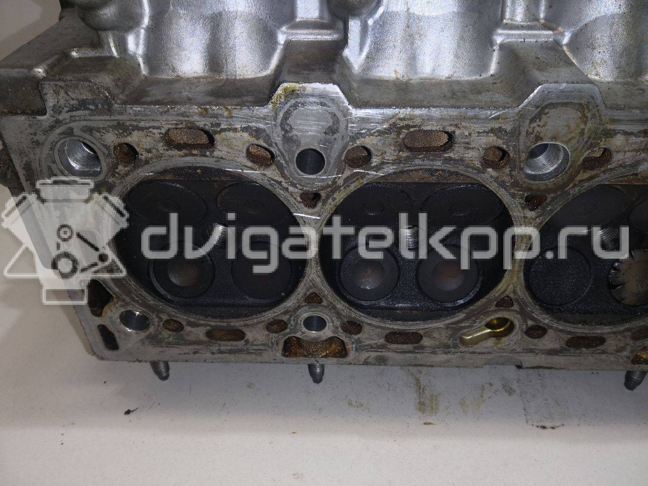 Фото Головка блока  55565451 для Vauxhall / Saturn / Chevrolet / Holden / Daewoo / Opel / Chevrolet (Sgm) {forloop.counter}}