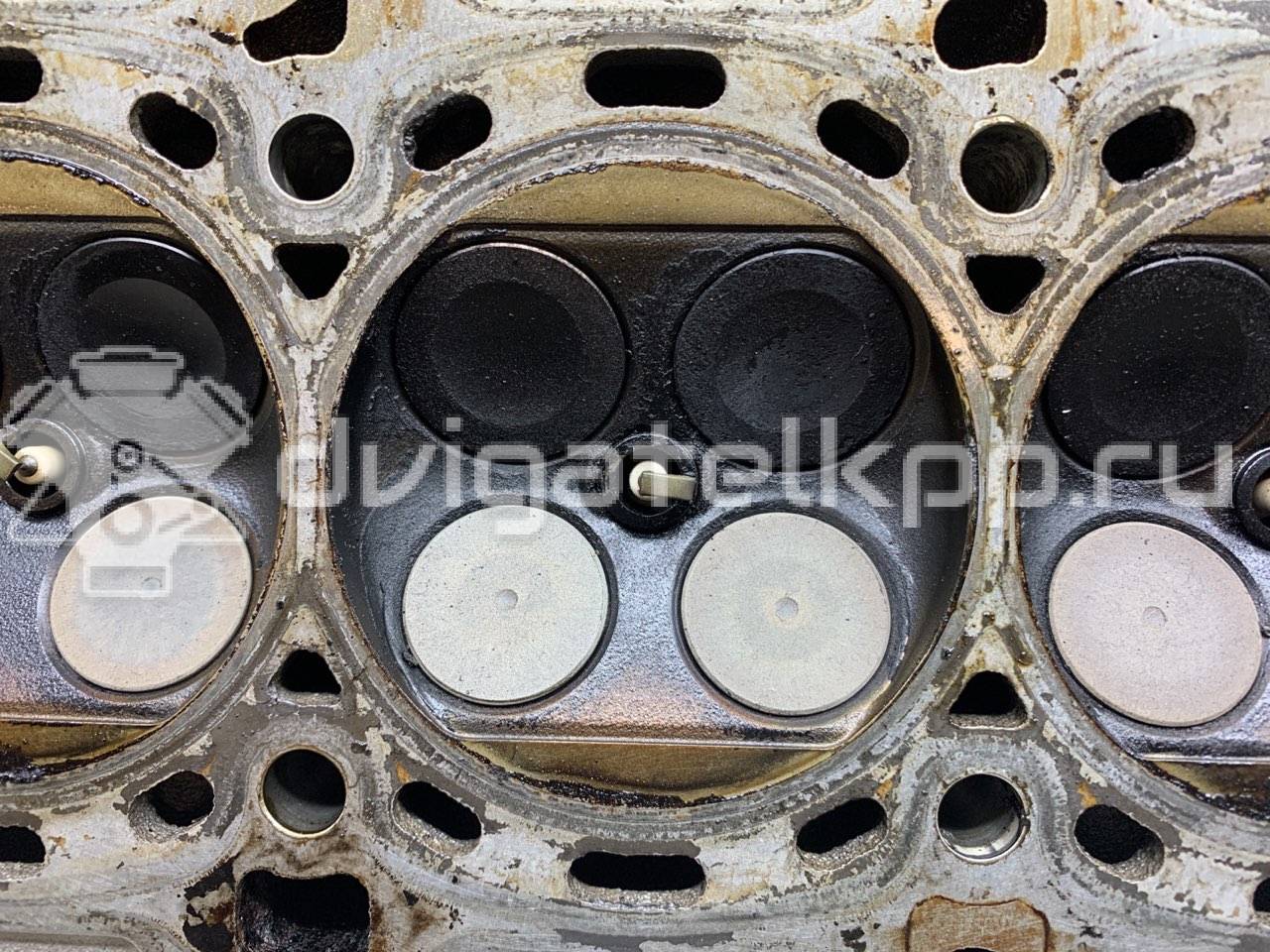 Фото Головка блока  55565295 для Holden / Opel / Vauxhall {forloop.counter}}