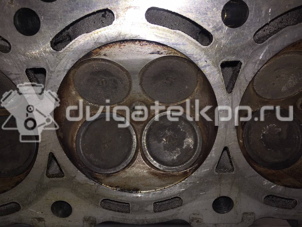 Фото Головка блока  для Subaru / Honda / Honda (Gac) / Acura {forloop.counter}}