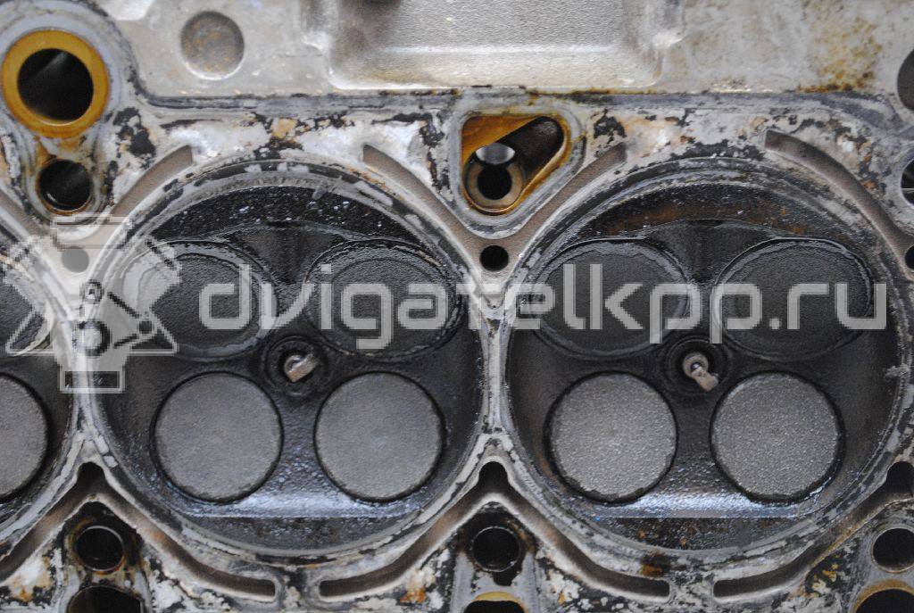 Фото Головка блока  для Audi A4 {forloop.counter}}