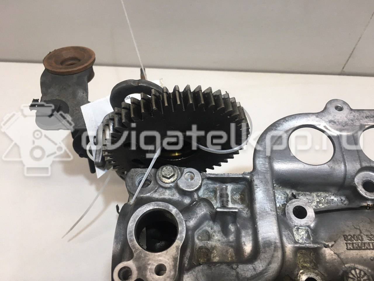 Фото Головка блока  для Nissan Qashqai / X-Trail {forloop.counter}}
