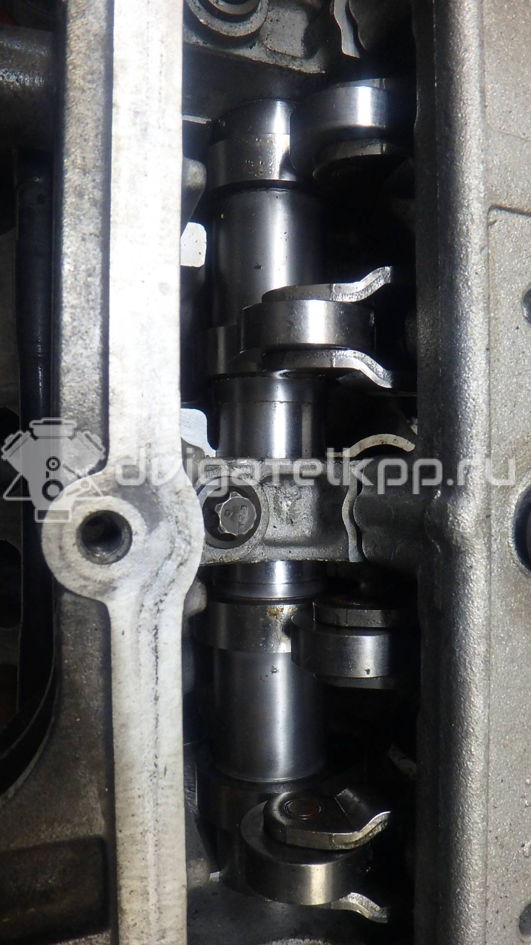 Фото Головка блока  для Ford / Ford Australia {forloop.counter}}