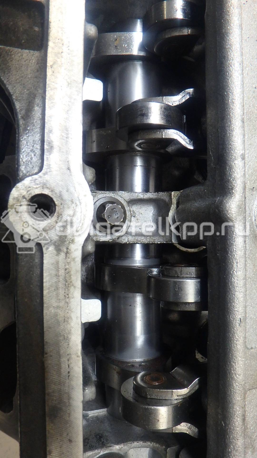 Фото Головка блока  для Ford / Ford Australia {forloop.counter}}