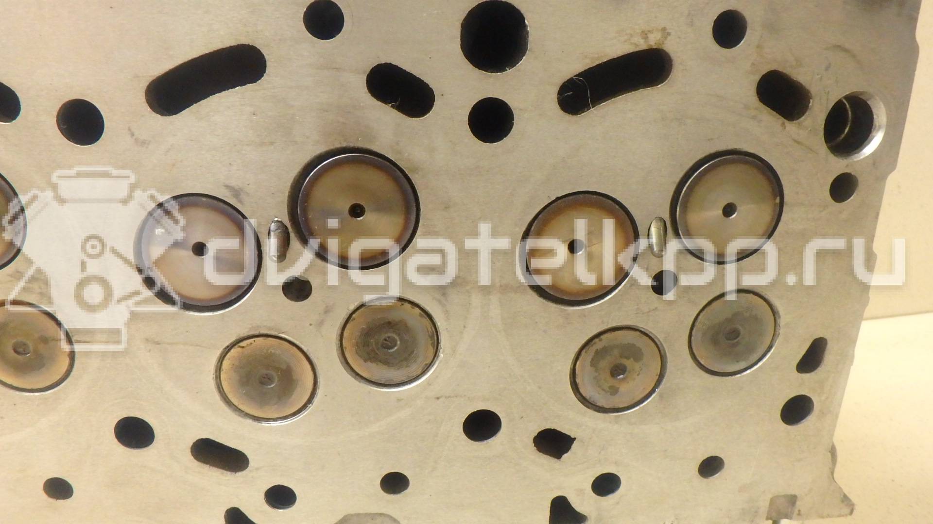 Фото Головка блока  для Ford / Ford Australia {forloop.counter}}