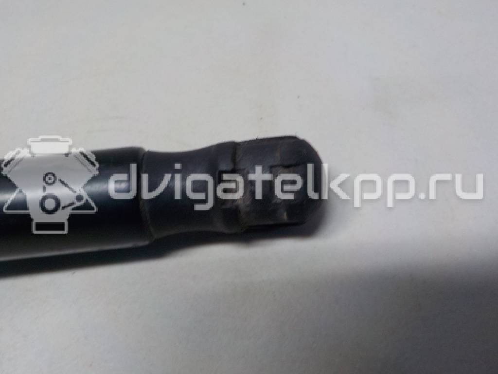 Фото Амортизатор двери багажника  bm51a406a10ae для Ford Focus {forloop.counter}}