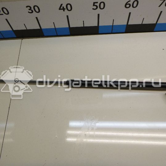 Фото Амортизатор двери багажника  BM51A406A10AE для Ford Focus