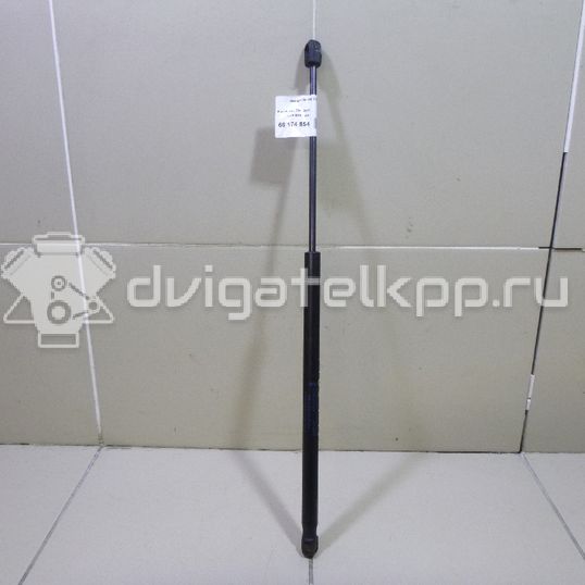 Фото Амортизатор двери багажника  6N11N406A10AA для Ford Fusion Ju