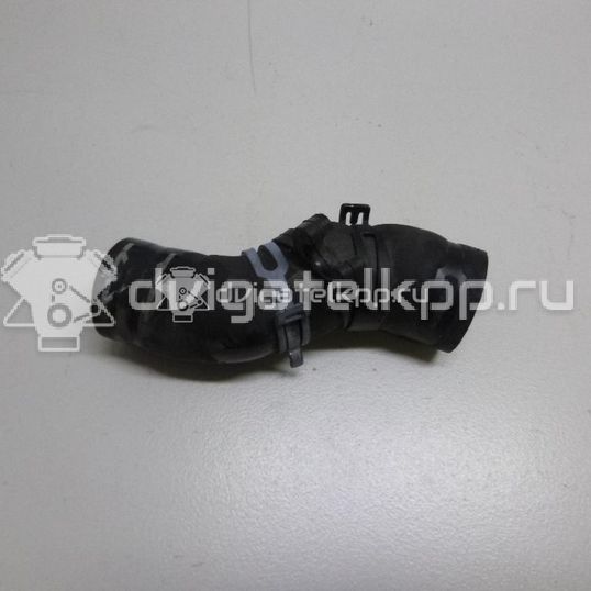 Фото Патрубок радиатора  1K0121101E для audi A3 [8P1]