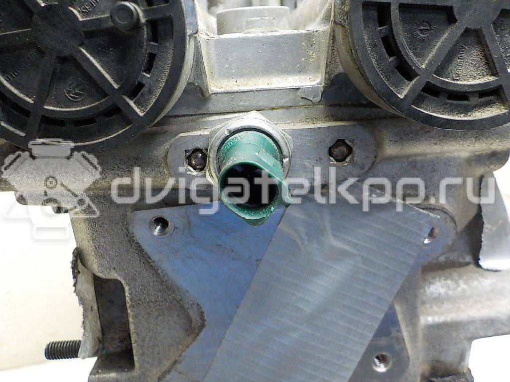 Фото Контрактный (б/у) двигатель CAXA для Seat Toledo 122 л.с 16V 1.4 л бензин 03C100038P {forloop.counter}}