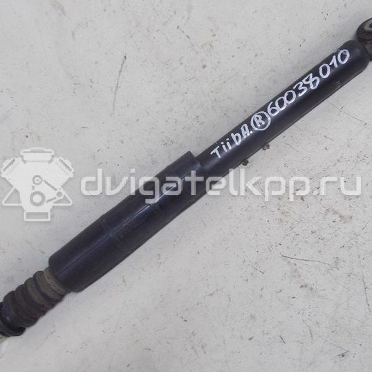 Фото Амортизатор задний  e6210ec80a для Nissan Tiida