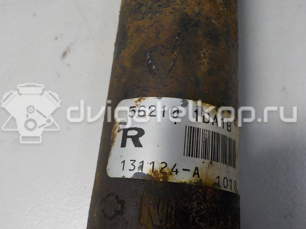 Фото Амортизатор задний  562101DA1B для Nissan Qashqai / X-Trail {forloop.counter}}