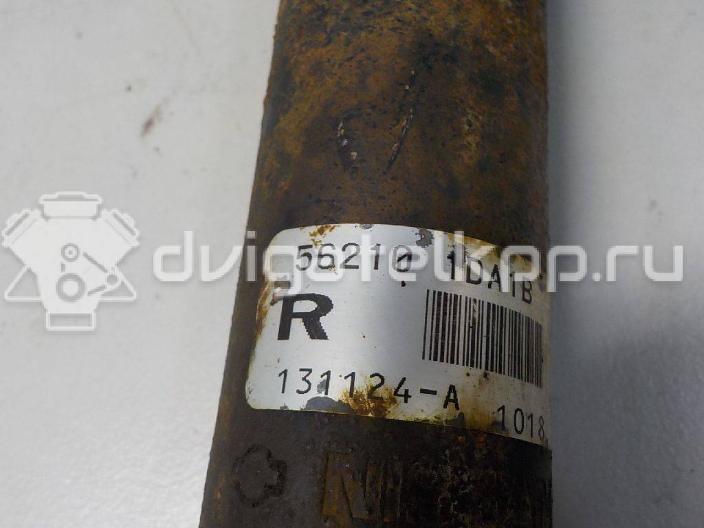 Фото Амортизатор задний  562101DA1B для Nissan Qashqai / X-Trail {forloop.counter}}