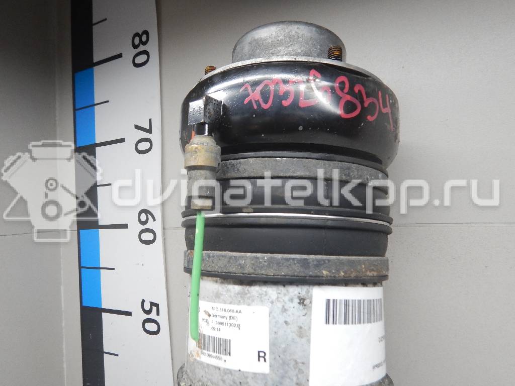 Фото Амортизатор передний правый  4F0616040AA для Audi A6 {forloop.counter}}