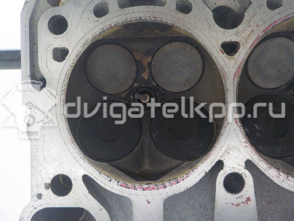 Фото Головка блока  для Audi A5 / A4 / Q5 {forloop.counter}}
