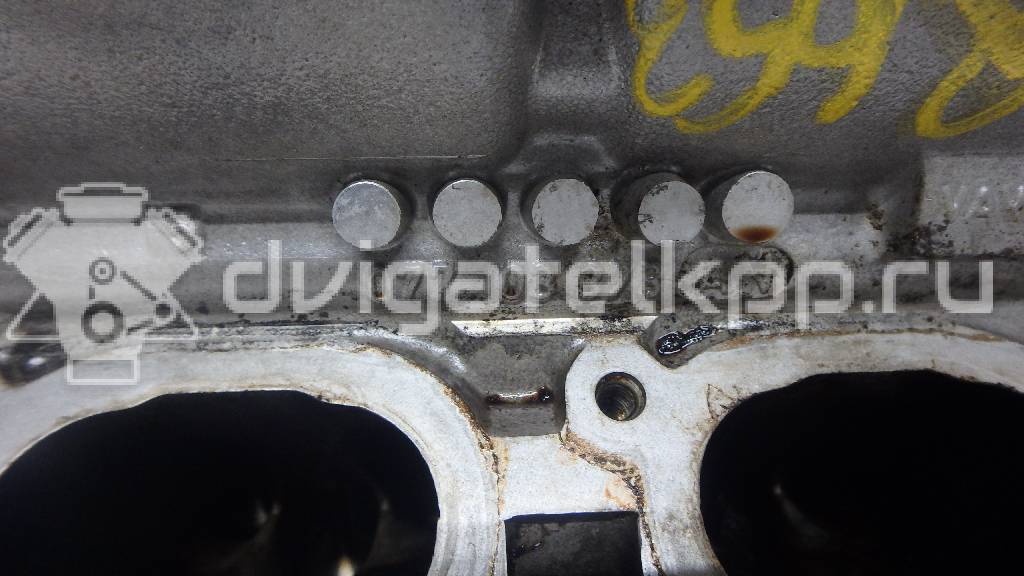 Фото Головка блока  для Audi A8 {forloop.counter}}