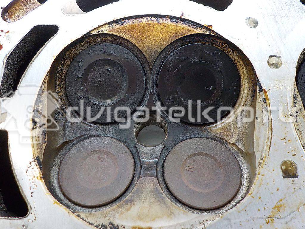 Фото Головка блока  111010d020 для Toyota Carri Van E9 / Corolla / Auris {forloop.counter}}