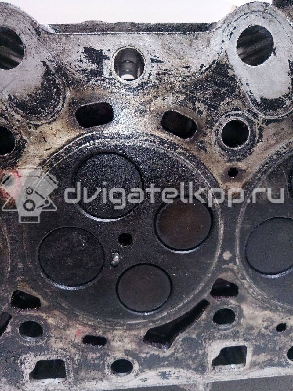 Фото Головка блока для двигателя D4CB для Hyundai / Kia 129-178 л.с 16V 2.5 л Дизельное топливо {forloop.counter}}