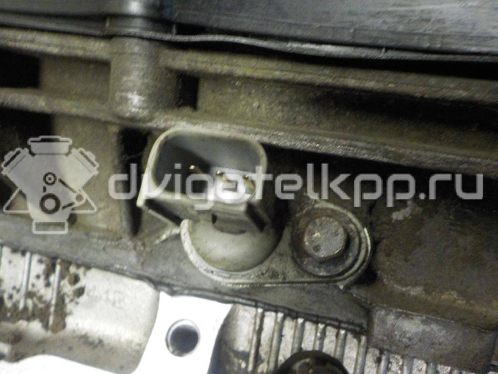 Фото Головка блока  для Ford Transit {forloop.counter}}