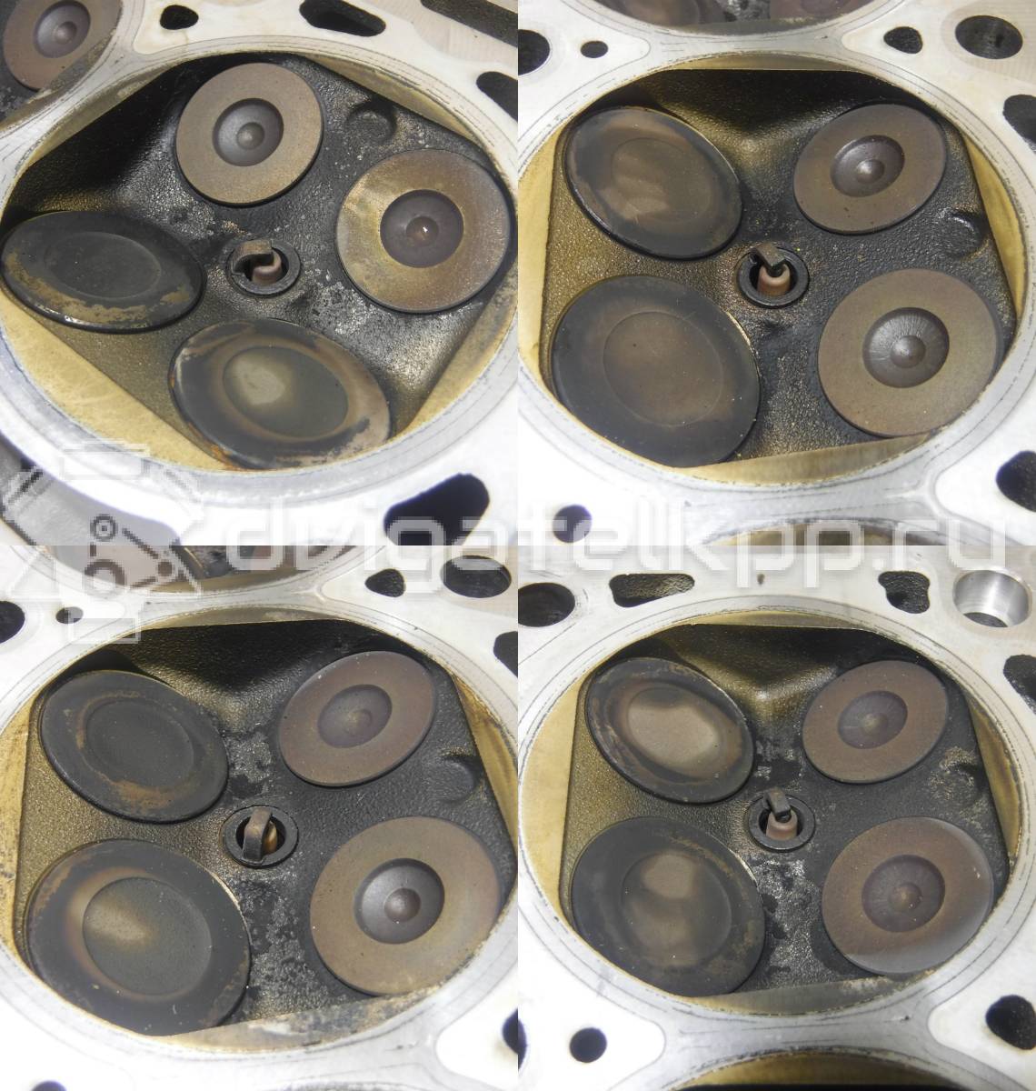 Фото Головка блока  110411079R для Mahindra / Renault {forloop.counter}}