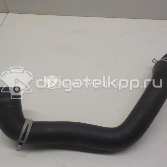 Фото Патрубок радиатора  1705463 для Ford Fiesta / B-Max Jk