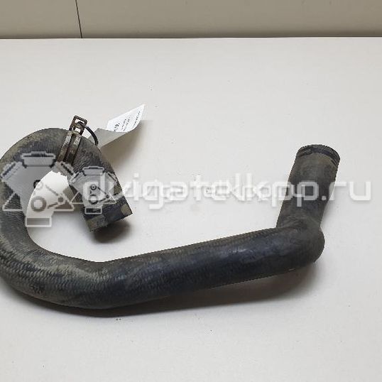 Фото Патрубок радиатора  1384148 для Ford Focus / C-Max